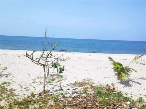 zambales beach lot for sale|Beach lot For Sale in San Felipe, Zambales .